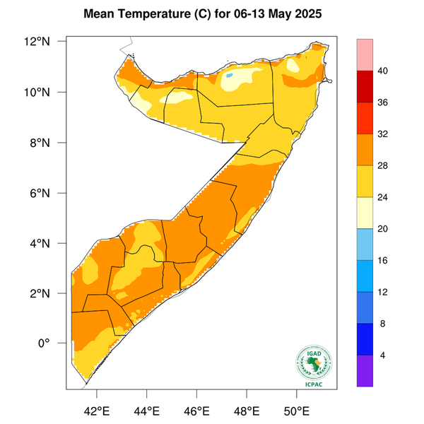 Temperature forecast
