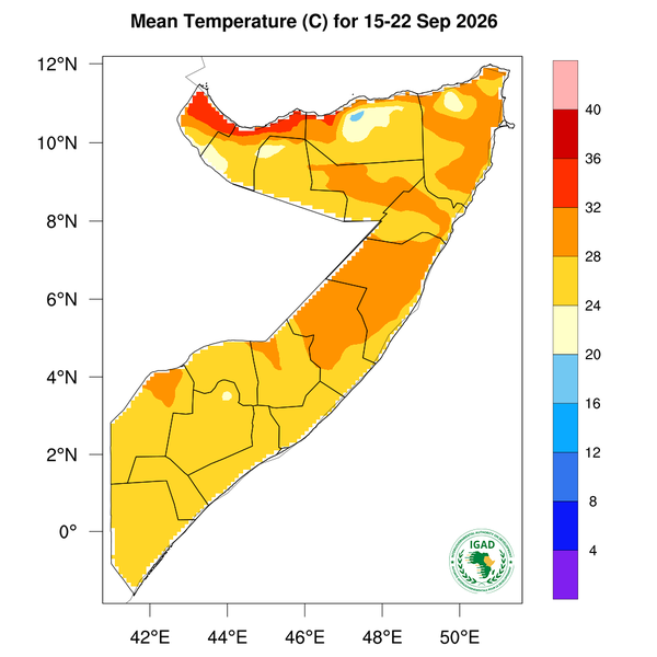 Temperature forecast