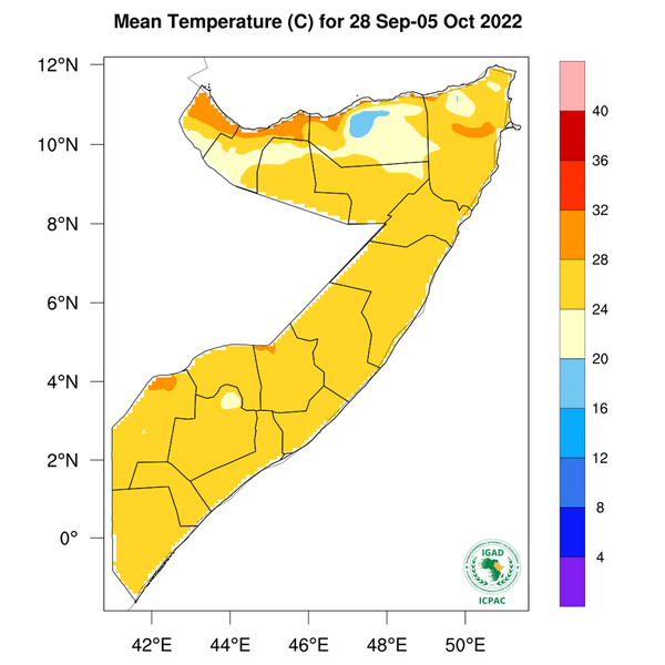 Temperature forecast