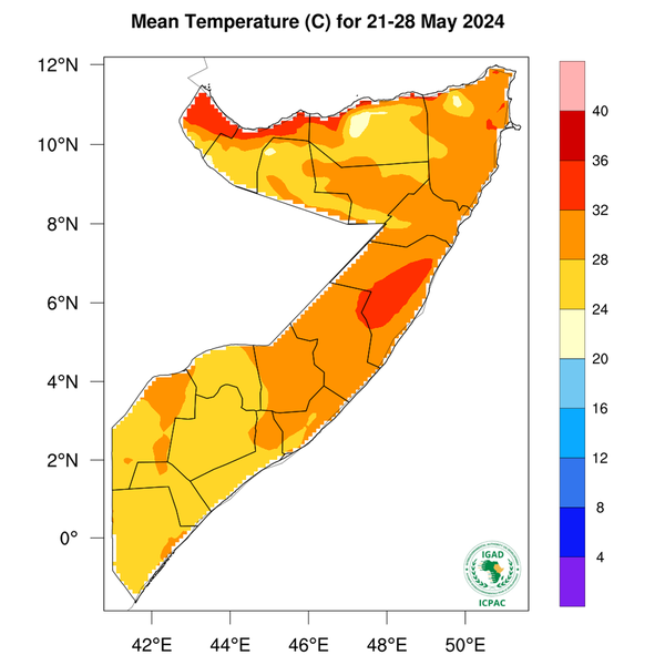 Temperature forecast