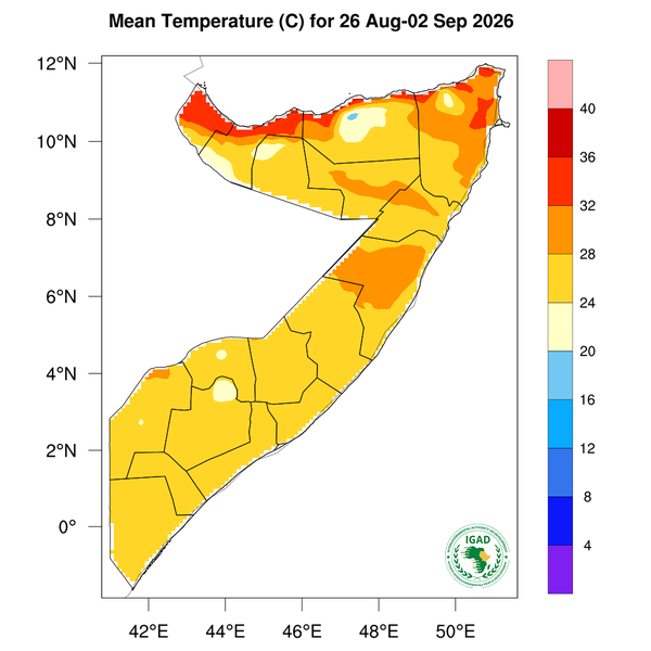 Temperature forecast