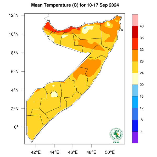Temperature forecast