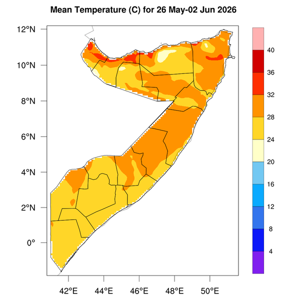 Temperature forecast