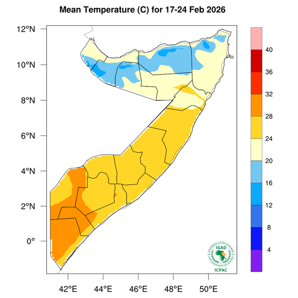 Temperature forecast
