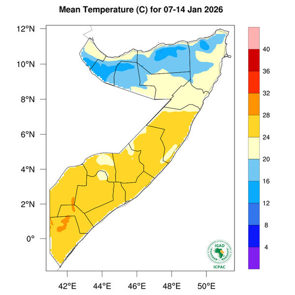 Temperature forecast