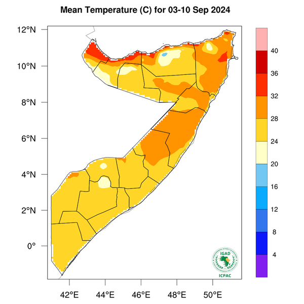 Temperature forecast