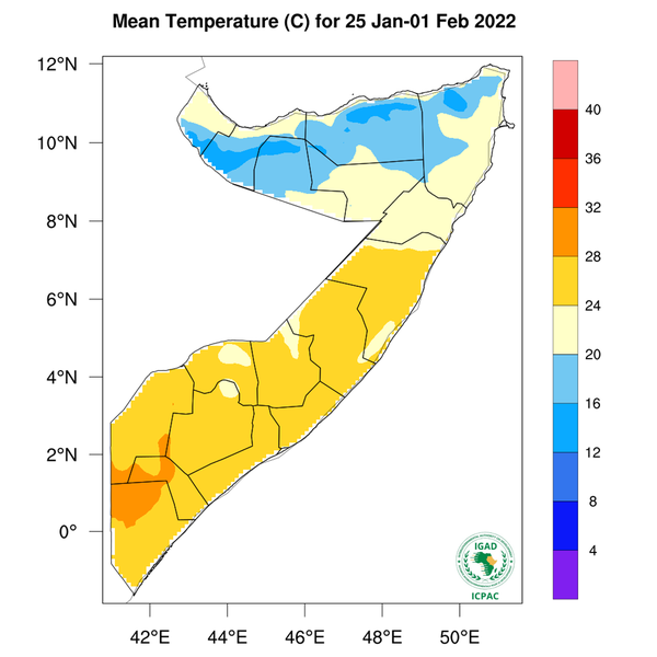 Temperature forecast