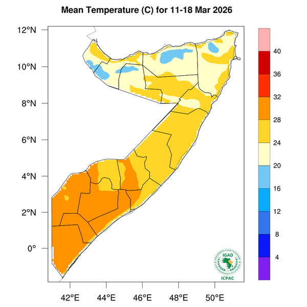 Temperature forecast