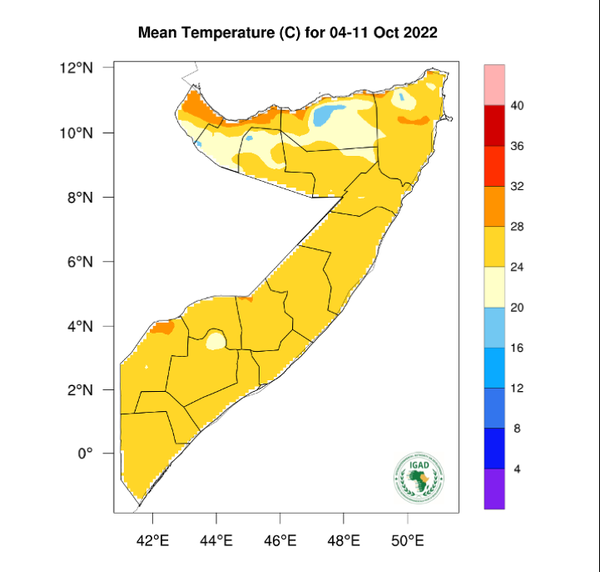 Temperature forecast