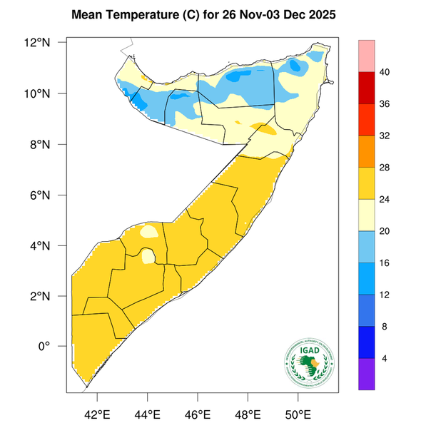 Temperature forecast