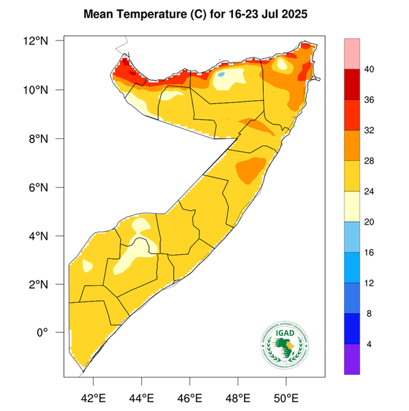 Temperature forecast
