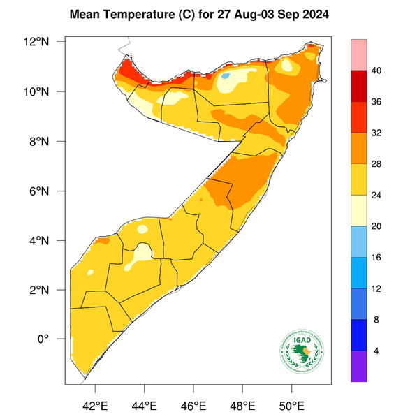 Temperature forecast