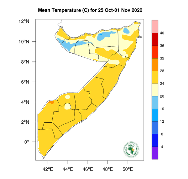 Temperature forecast