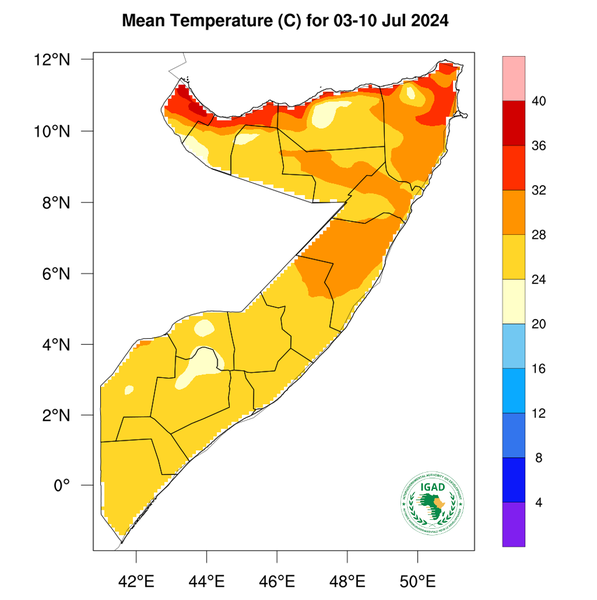 Temperature forecast