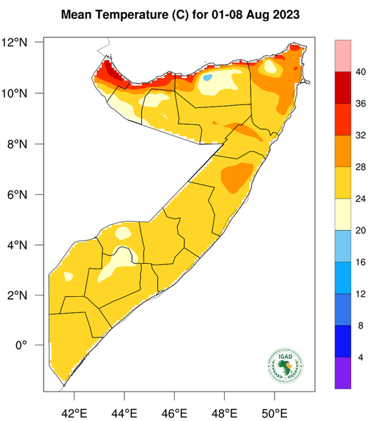 Temperature forecast
