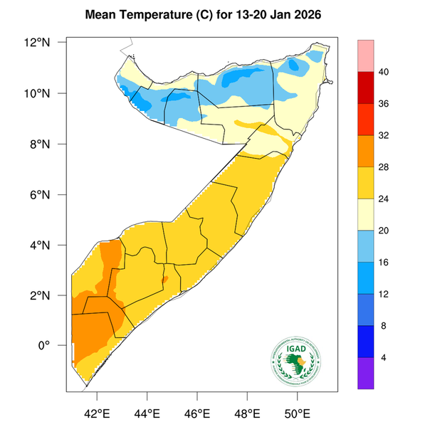 Temperature forecast