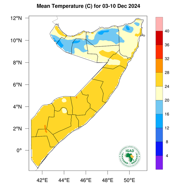 Temperature forecast