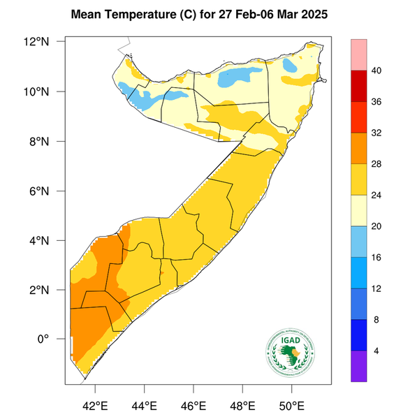 Temperature forecast
