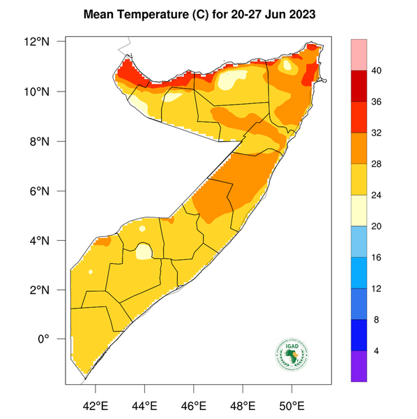 Temperature forecast