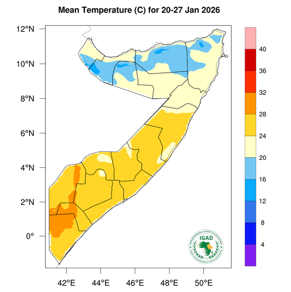 Temperature forecast