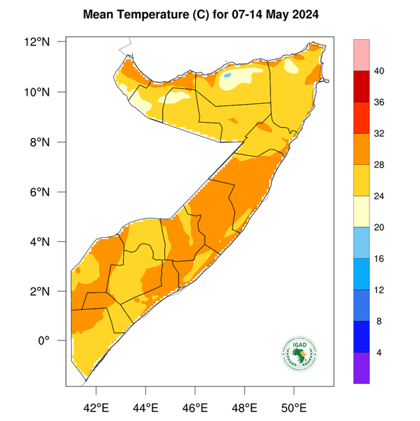 Temperature forecast