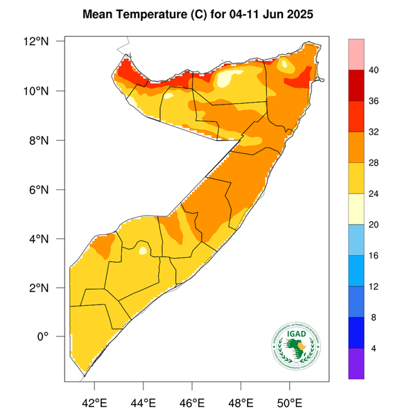 Temperature forecast
