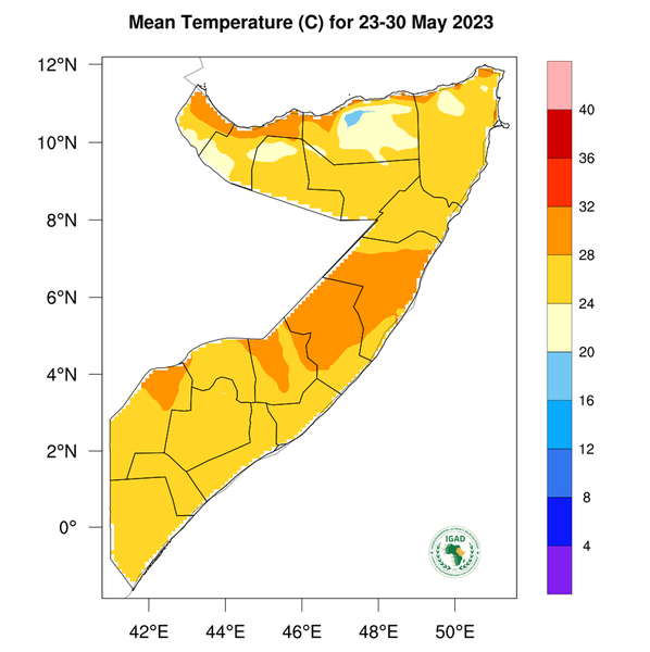 Temperature forecast