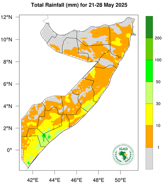 Rainfall forecast