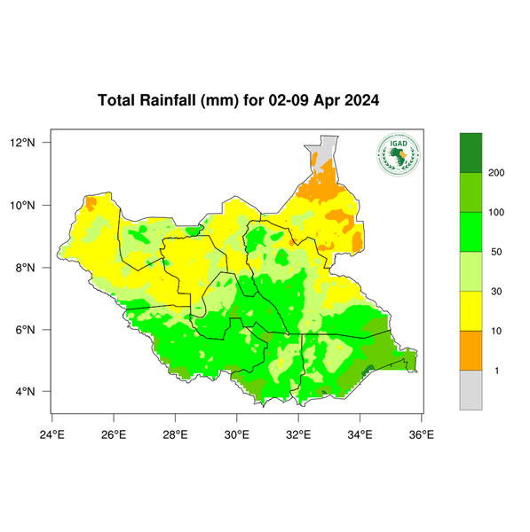 Rainfall forecast