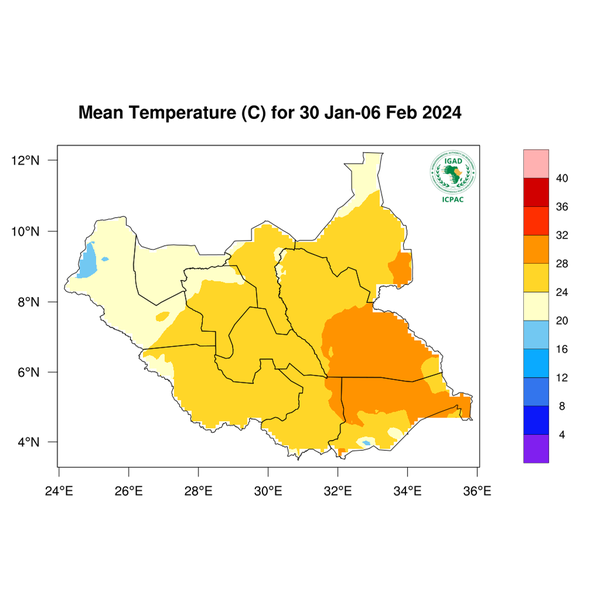 Temperature forecast