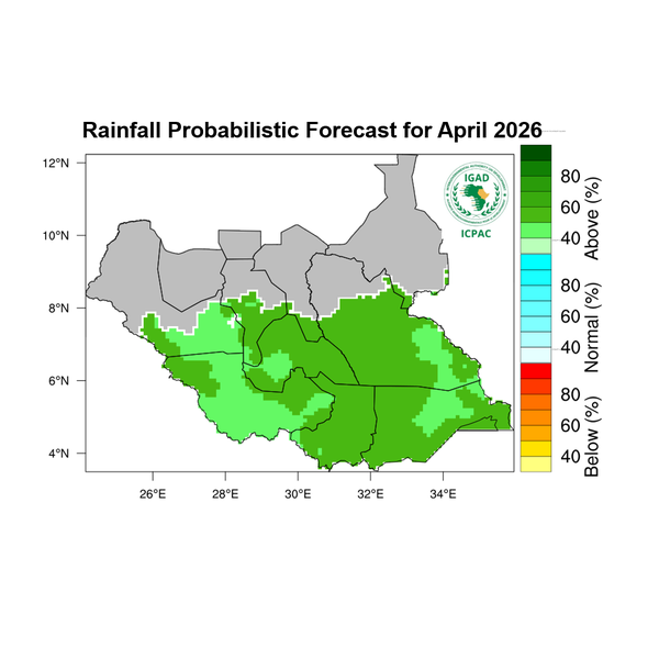Rainfall forecast