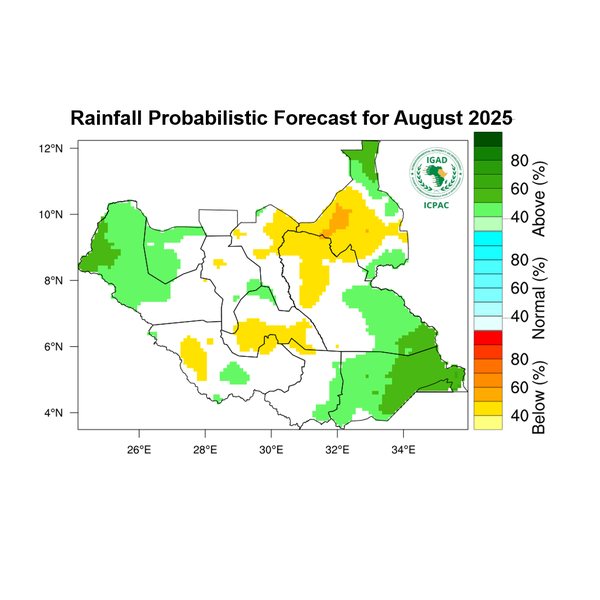 Rainfall forecast