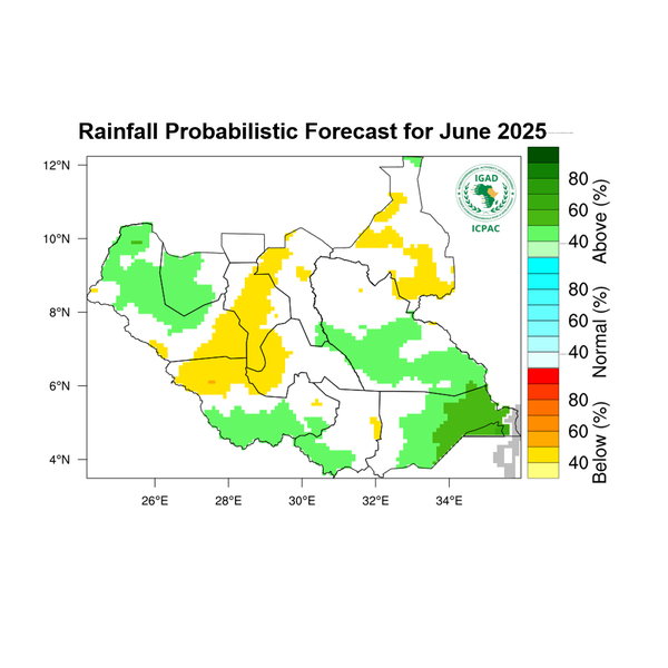 Rainfall forecast