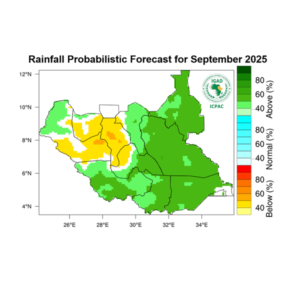 Rainfall forecast