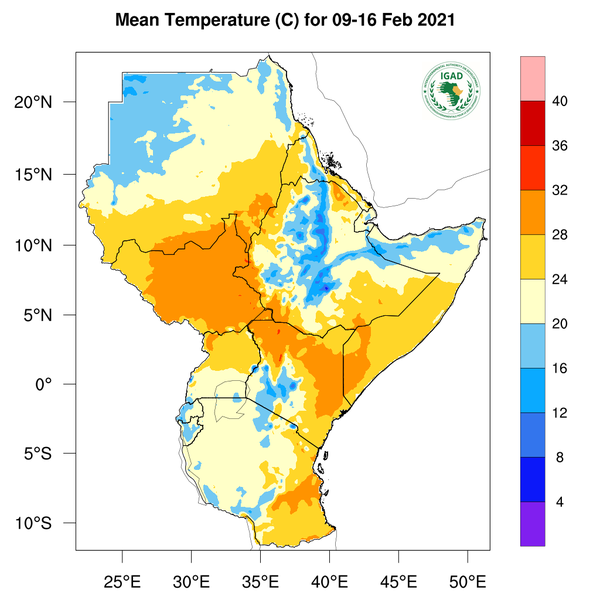Temperature forecast
