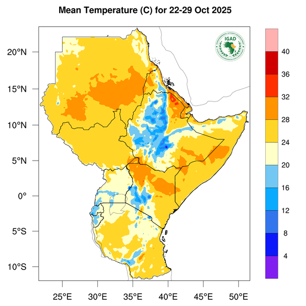 Temperature forecast
