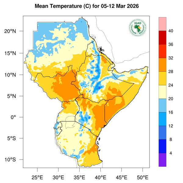 Temperature forecast