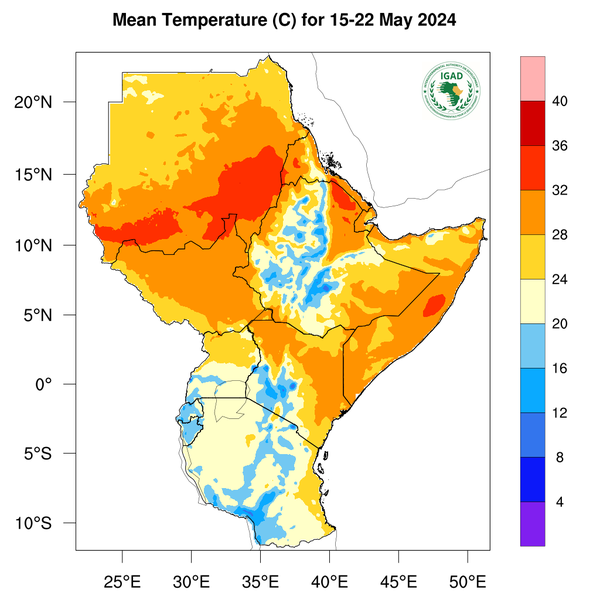 Temperature forecast