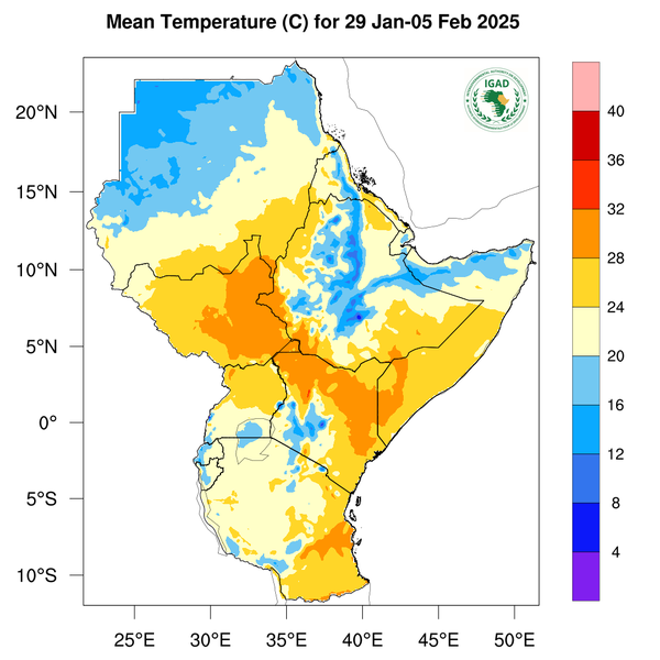 Temperature forecast