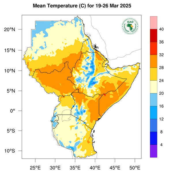 Temperature forecast