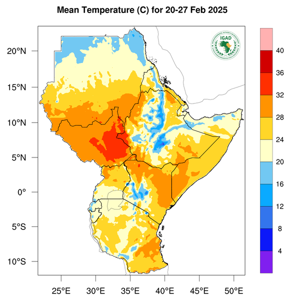 Temperature forecast