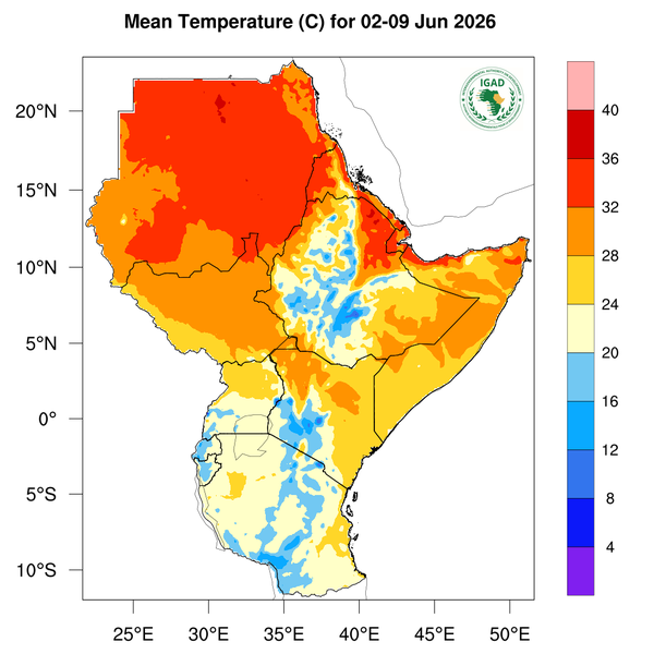 Temperature forecast