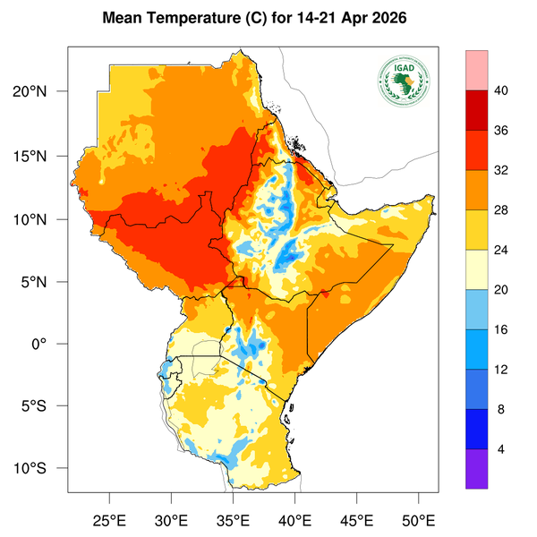 Temperature forecast