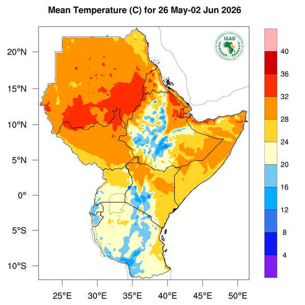 Temperature forecast