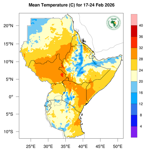 Temperature forecast