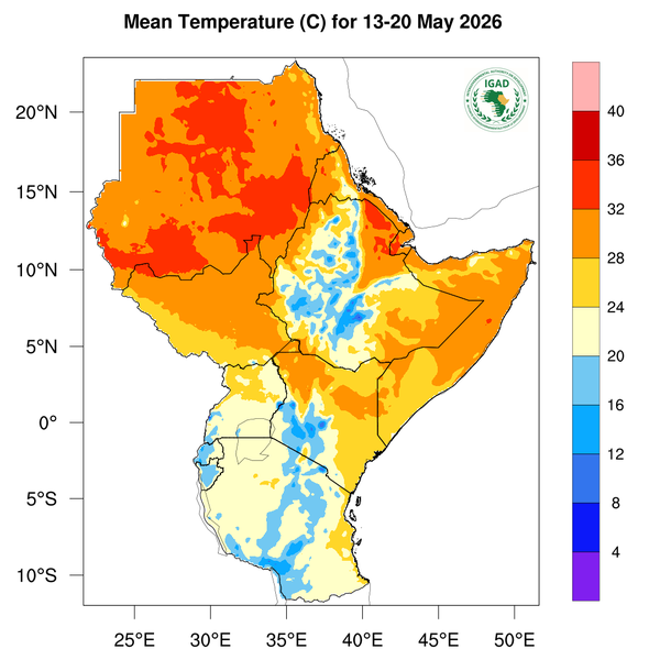 Temperature forecast