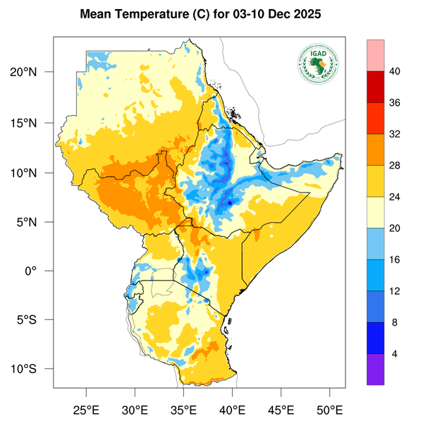 Temperature forecast