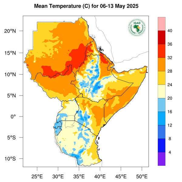 Temperature forecast