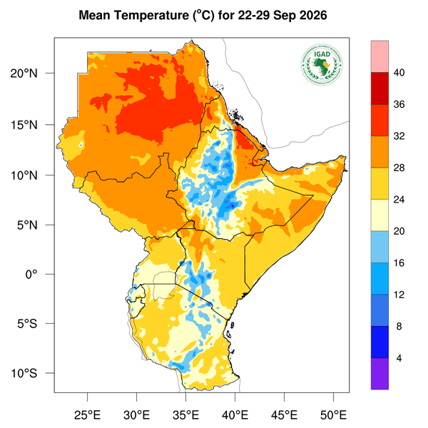 Temperature forecast