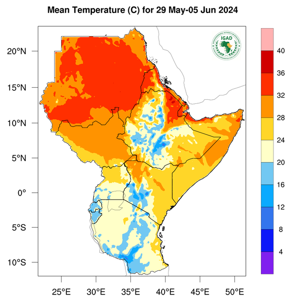 Temperature forecast